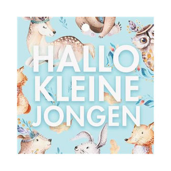 Hallmark Mini Geboortekaartje - Hallo Kleine Jongen 7,5x7,5 cm
